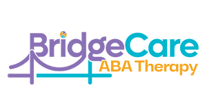 bridge-care-1